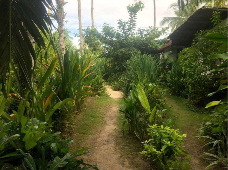 Secret Spot Siargao Ξενοδοχείο General Luna  Εξωτερικό φωτογραφία